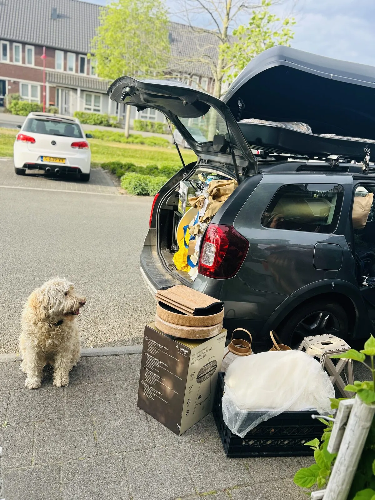 Soofi kijkt toe terwijl we de auto en de dakkoffer inpakken voor vertrek
